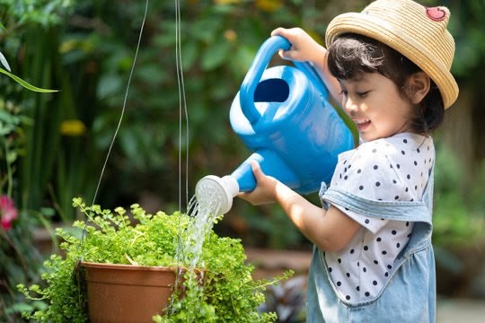 A child watering the garden plants with a watering can